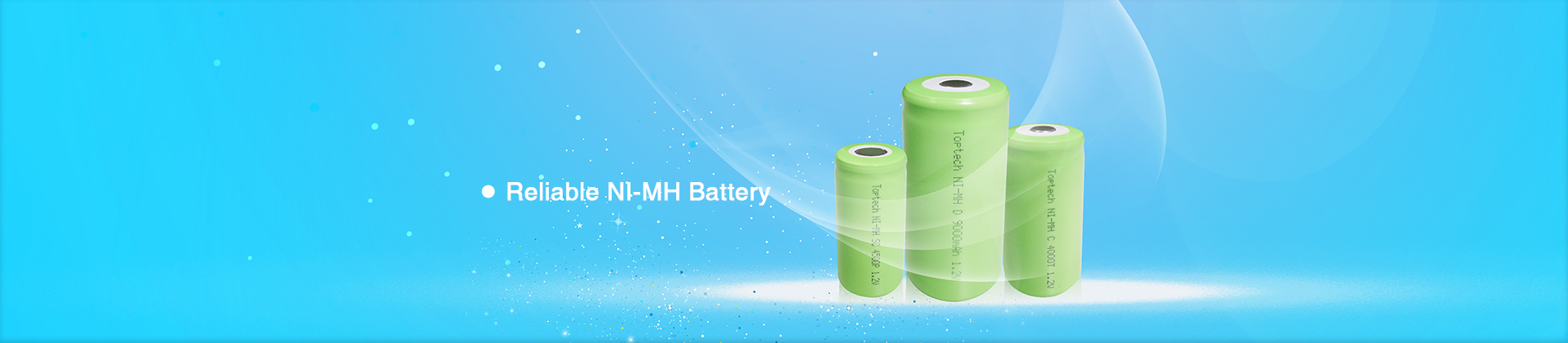 Toptech Battery